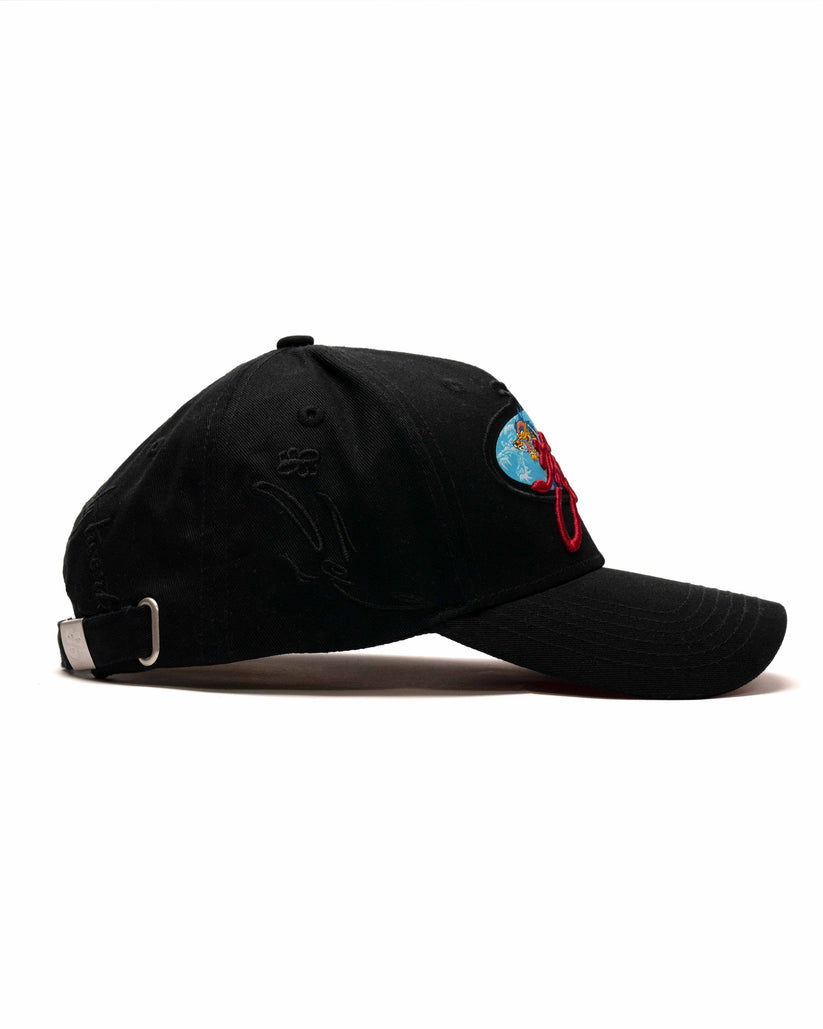 Navy & Beige Cap